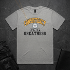 Consistency BoxTee
